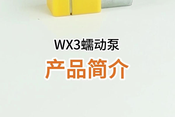 WX3蠕動(dòng)泵產(chǎn)品簡(jiǎn)介
