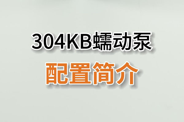 304KB蠕動(dòng)泵產(chǎn)品配置簡(jiǎn)介