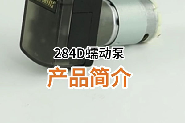 284D蠕動(dòng)泵產(chǎn)品簡(jiǎn)介